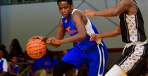 Southern Stampede - Bush - 2019