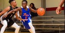 Southern Stampede - Bush - 2019