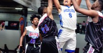 LaGrange Wildcats